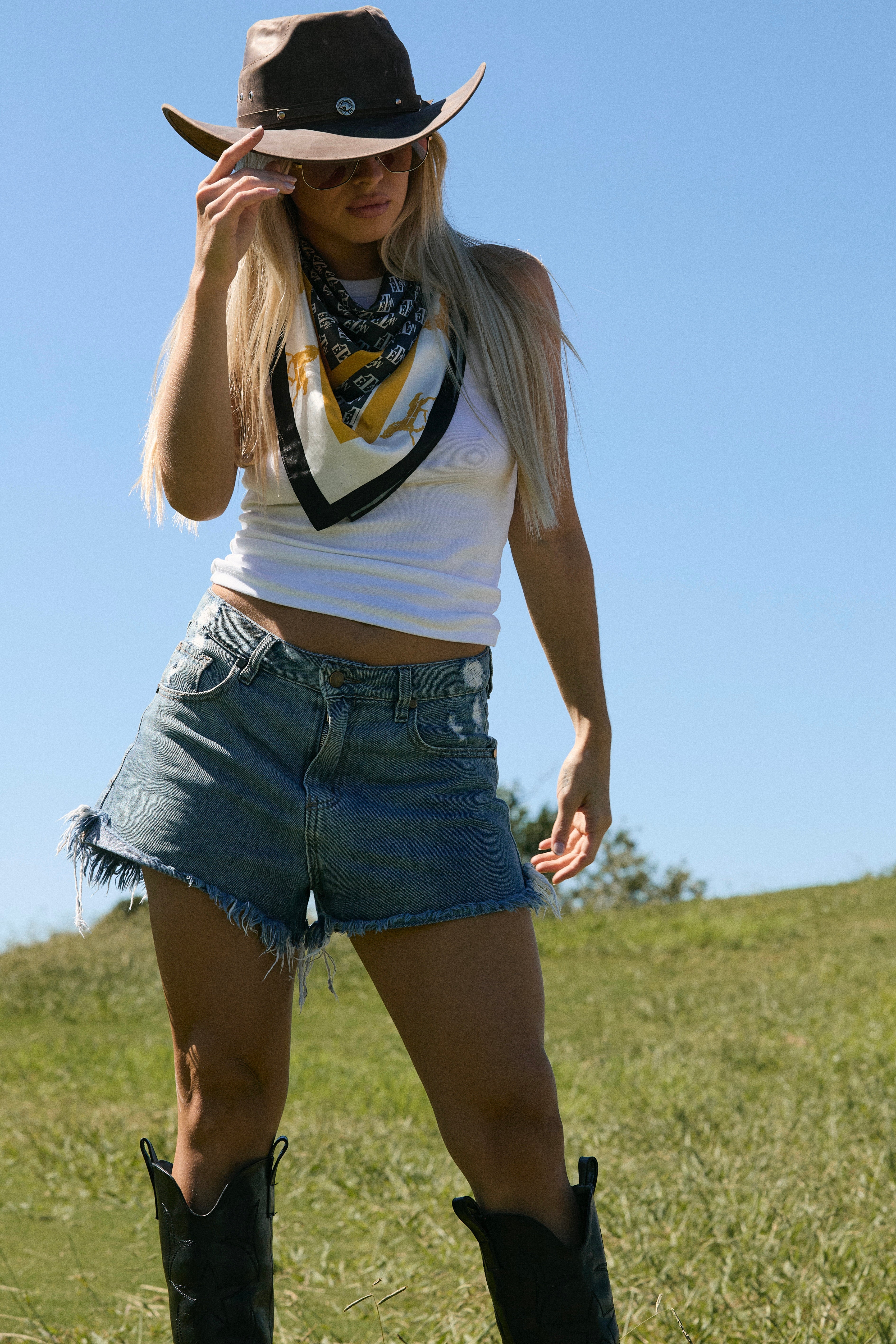 Golden Stallion Scarf FGS