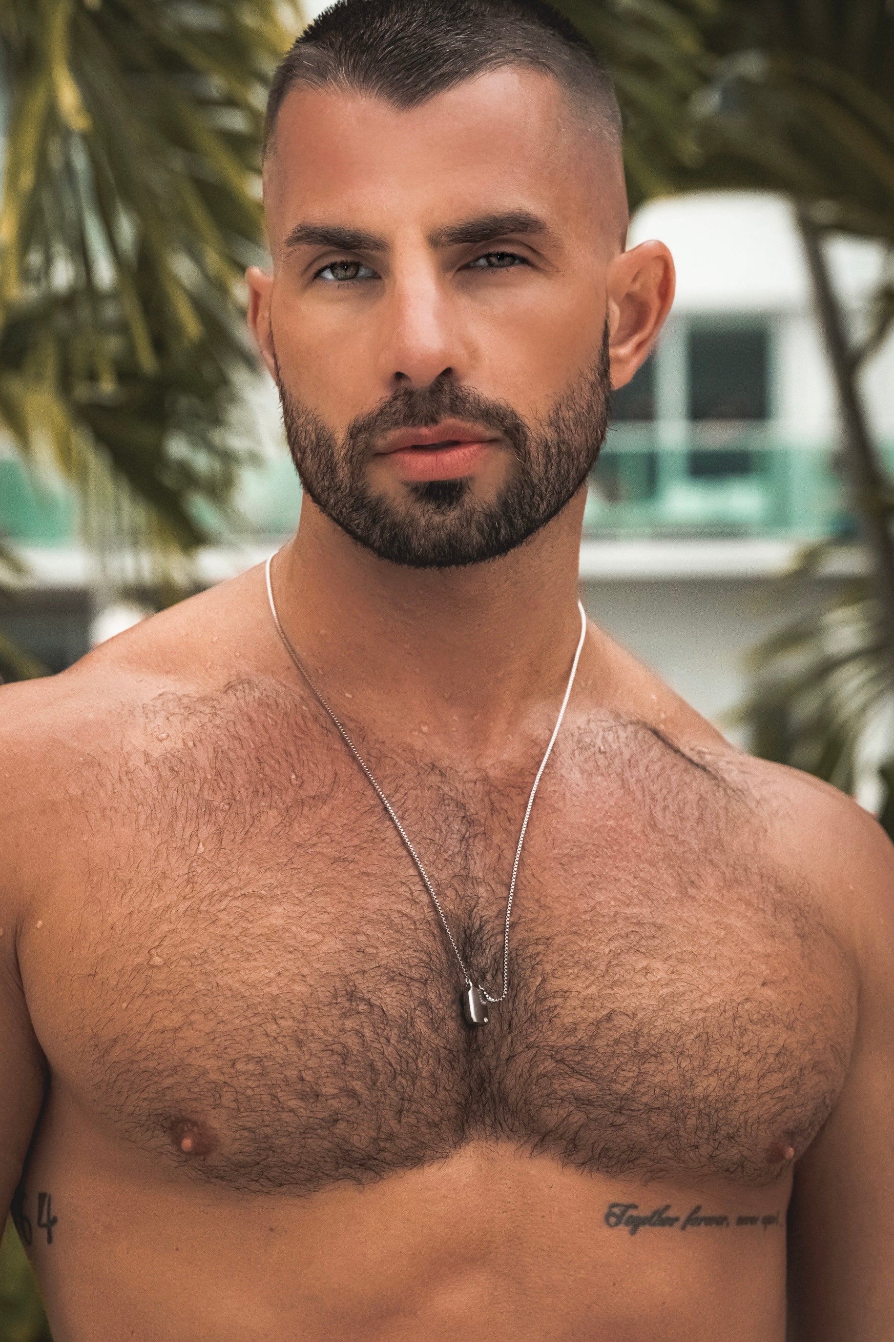 Scapular Reversible AP