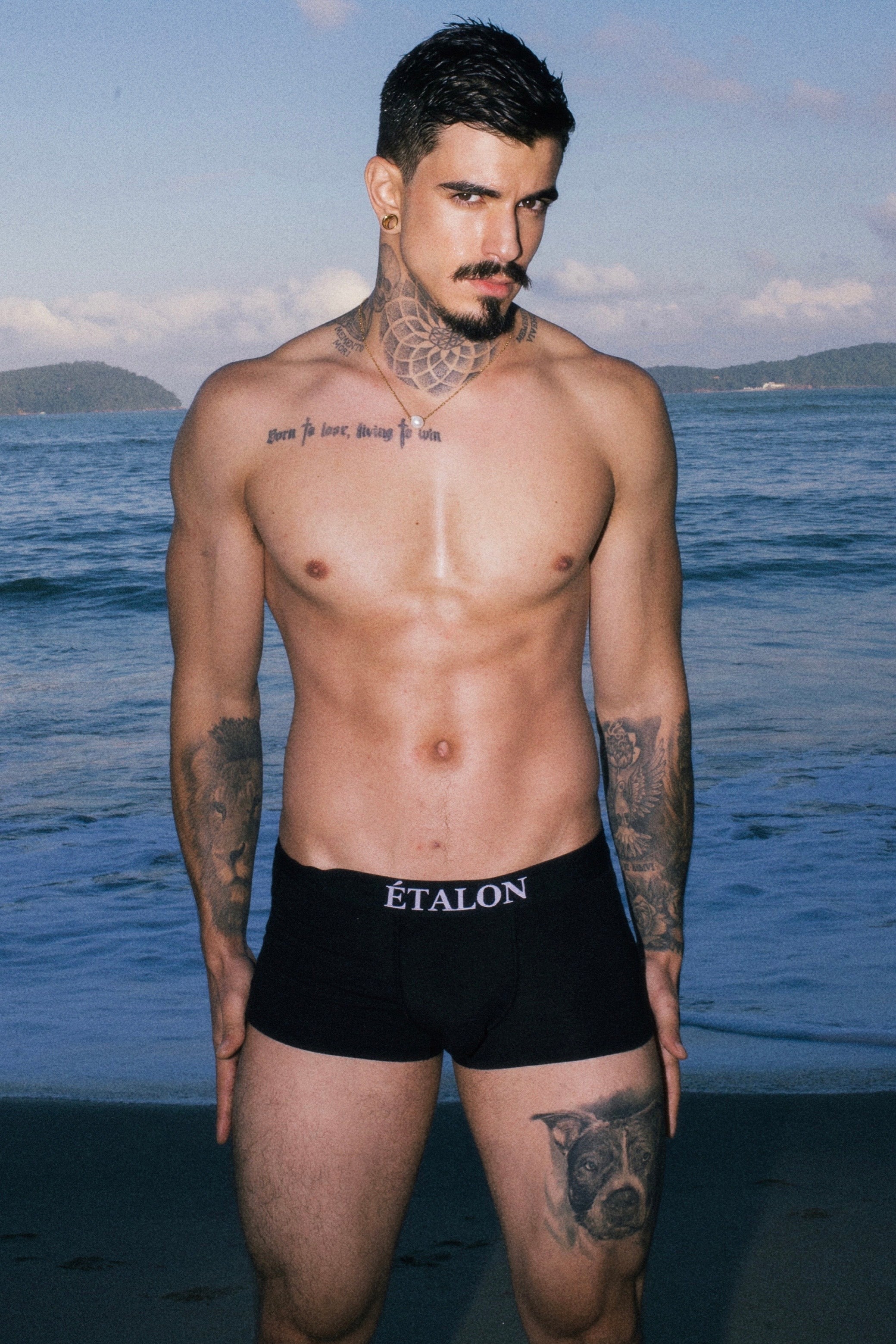 Étalon Signature Boxer Brief