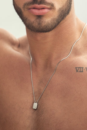 Scapular Reversible AP